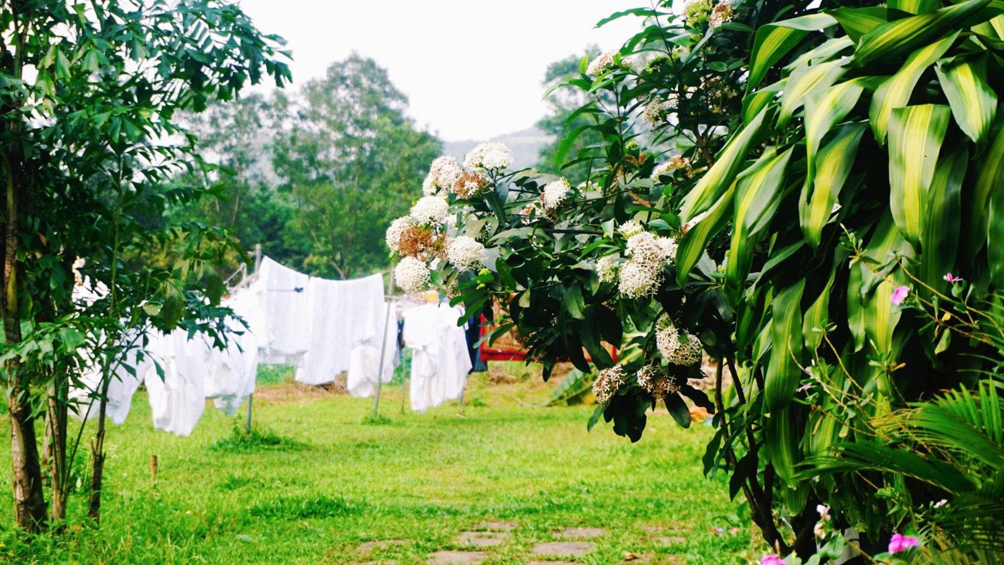 Phong Nha Eco Village Exteriör bild