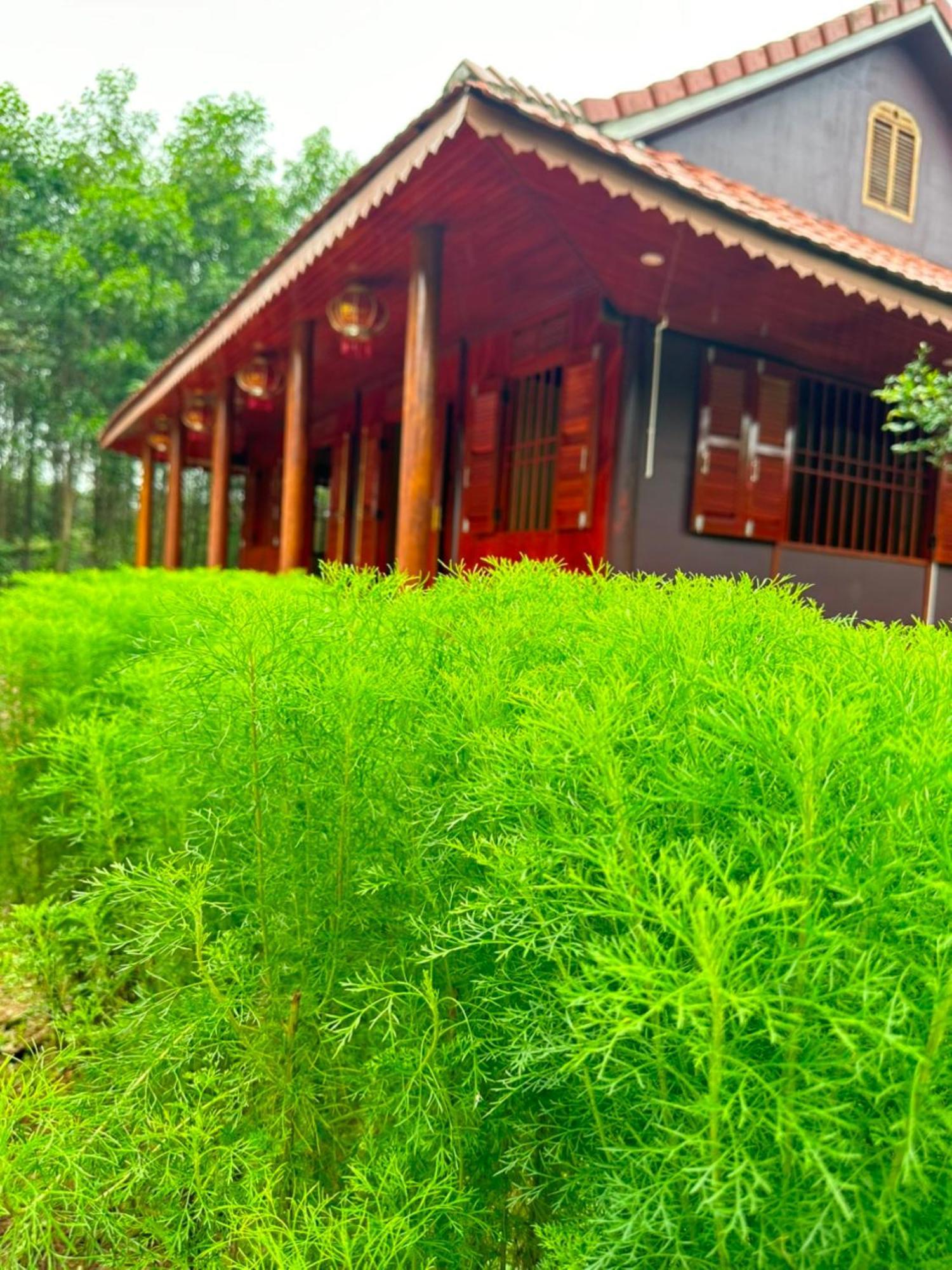 Phong Nha Eco Village Exteriör bild