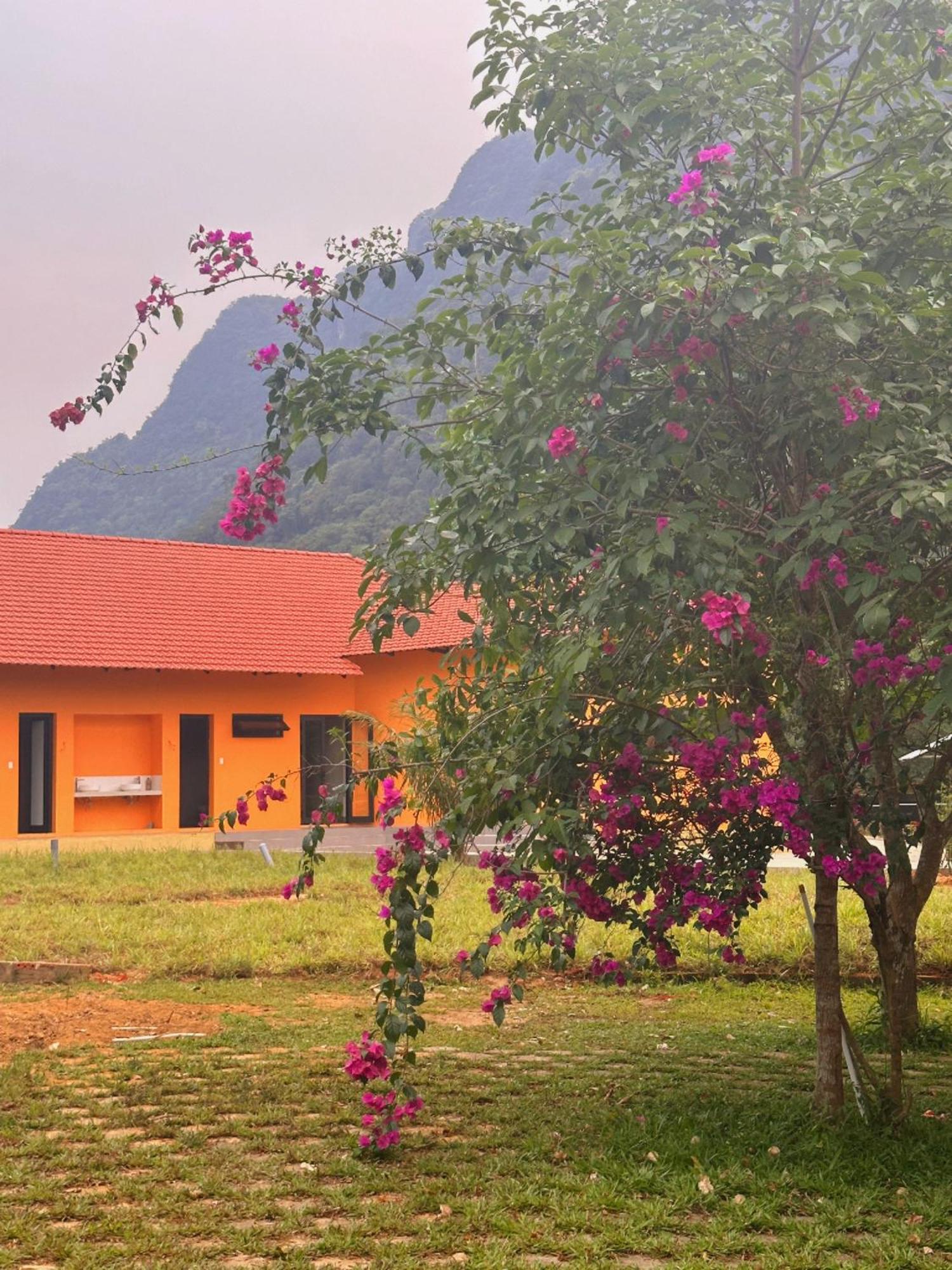 Phong Nha Eco Village Exteriör bild