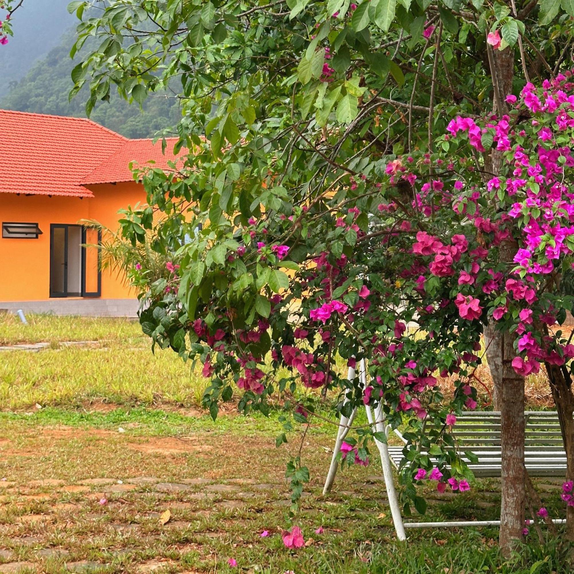 Phong Nha Eco Village Exteriör bild